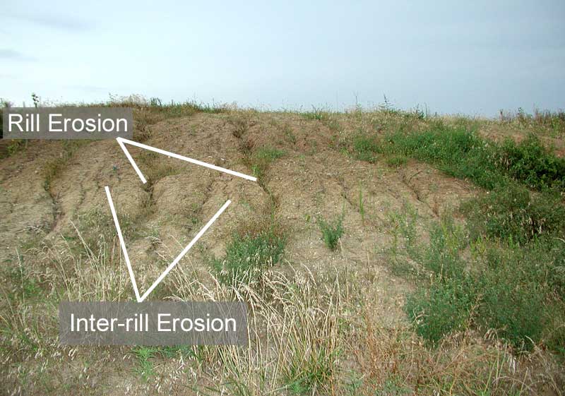 examples of rill erosion and inter-rill erosion